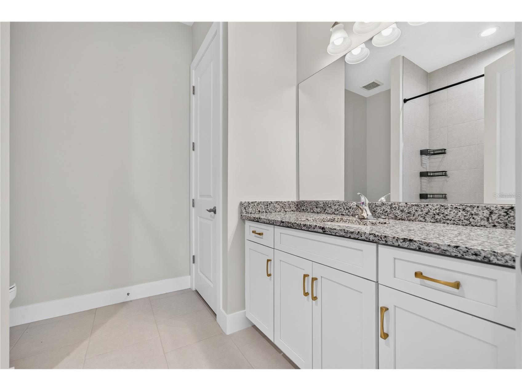 8154 Redonda Loop Lakewood Ranch FL 34202 A4695943 image57