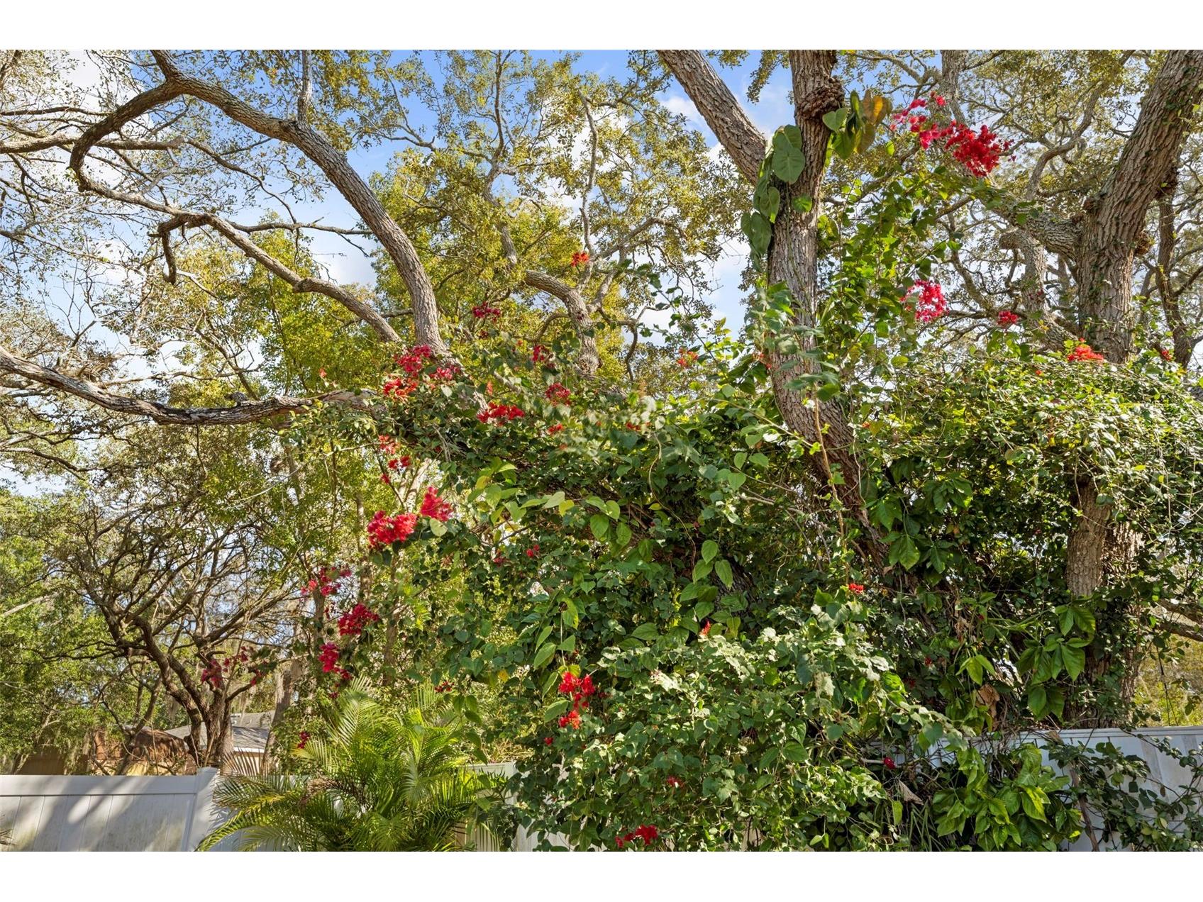 8155 Giffen Lane Spring Hill FL 34608 TB8459138 image44