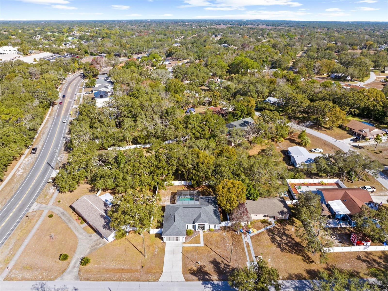 8155 Giffen Lane Spring Hill FL 34608 TB8459138 image46