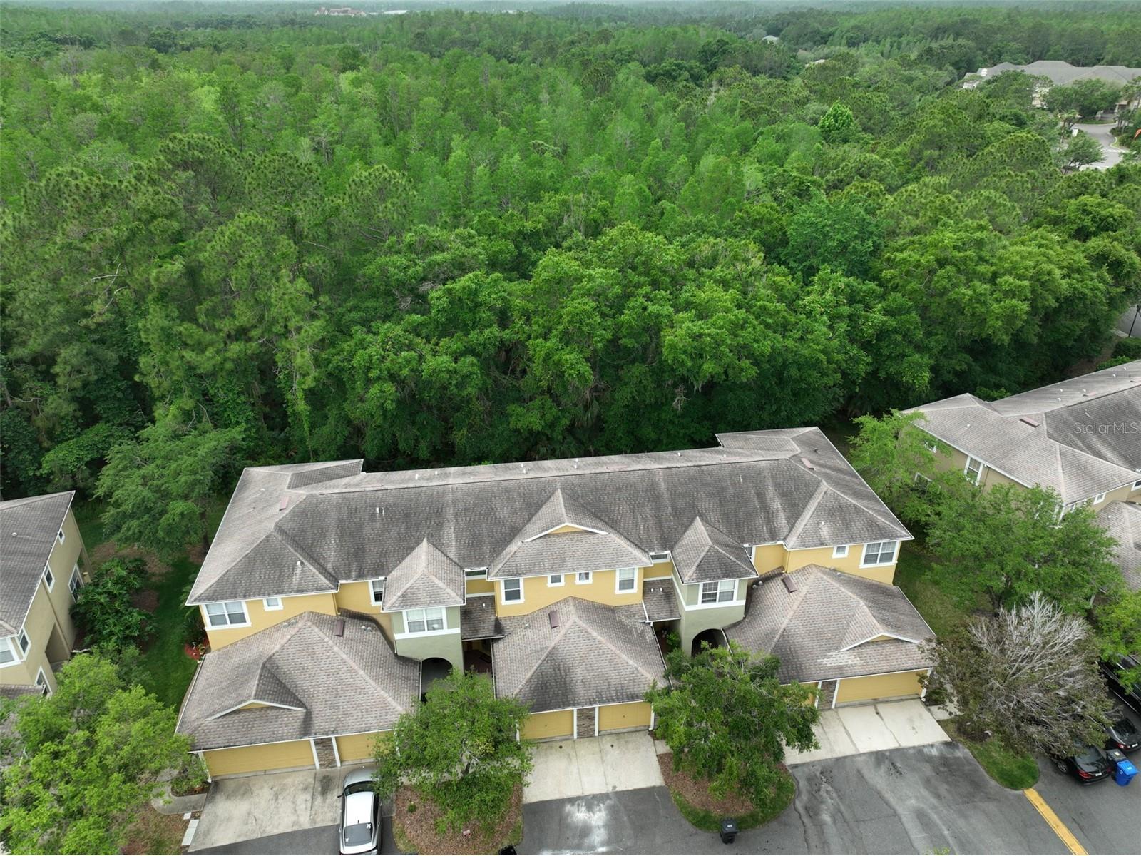 8155 Stone Leaf Lane Tampa FL 33647 TB8510578 image38