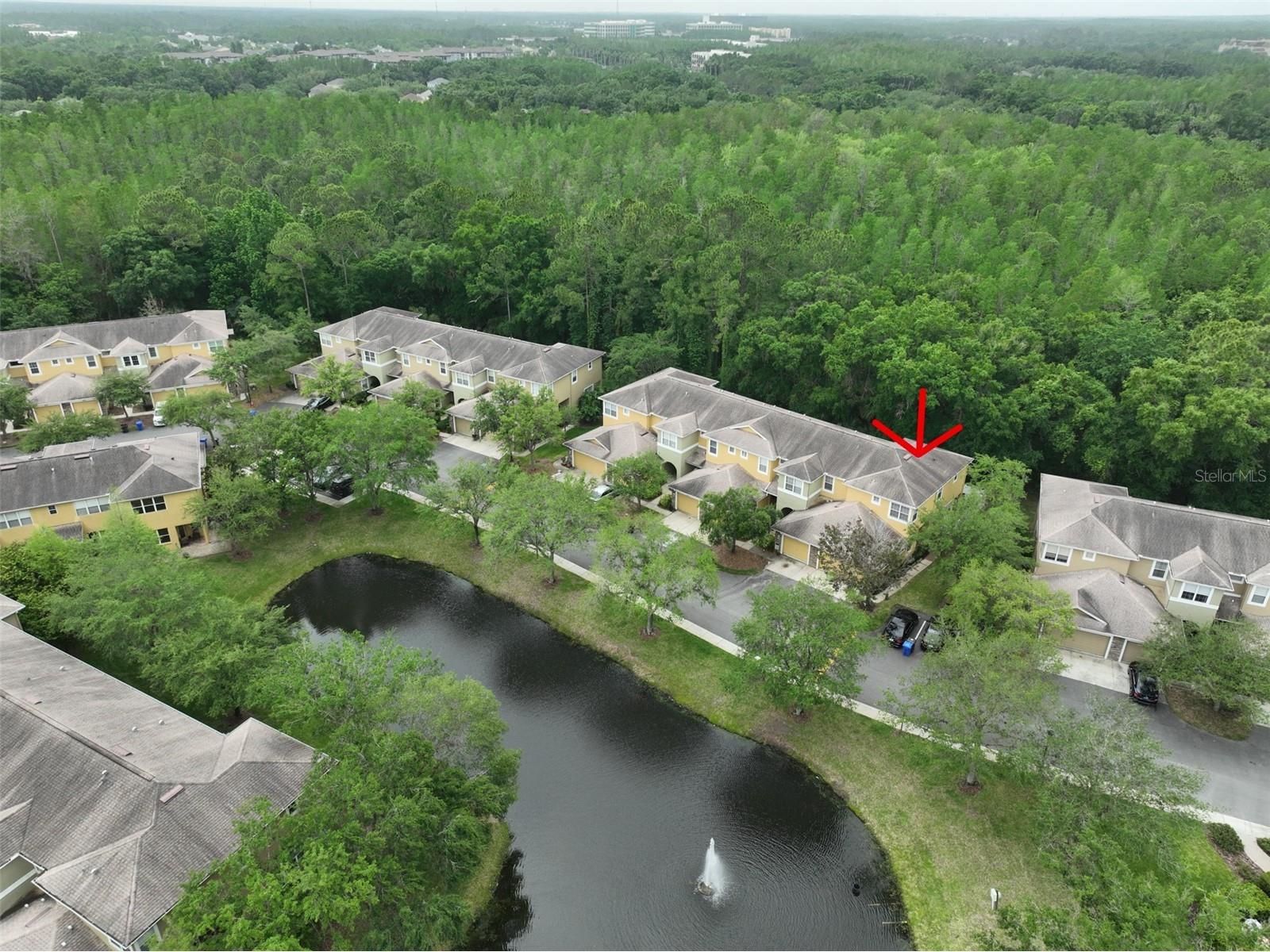 8155 Stone Leaf Lane Tampa FL 33647 TB8510578 image39