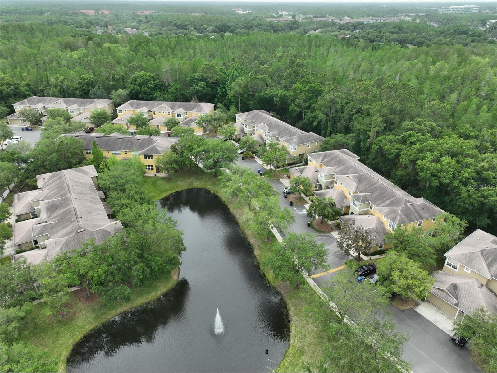 8155 Stone Leaf Lane Tampa FL 33647 TB8510578 image40