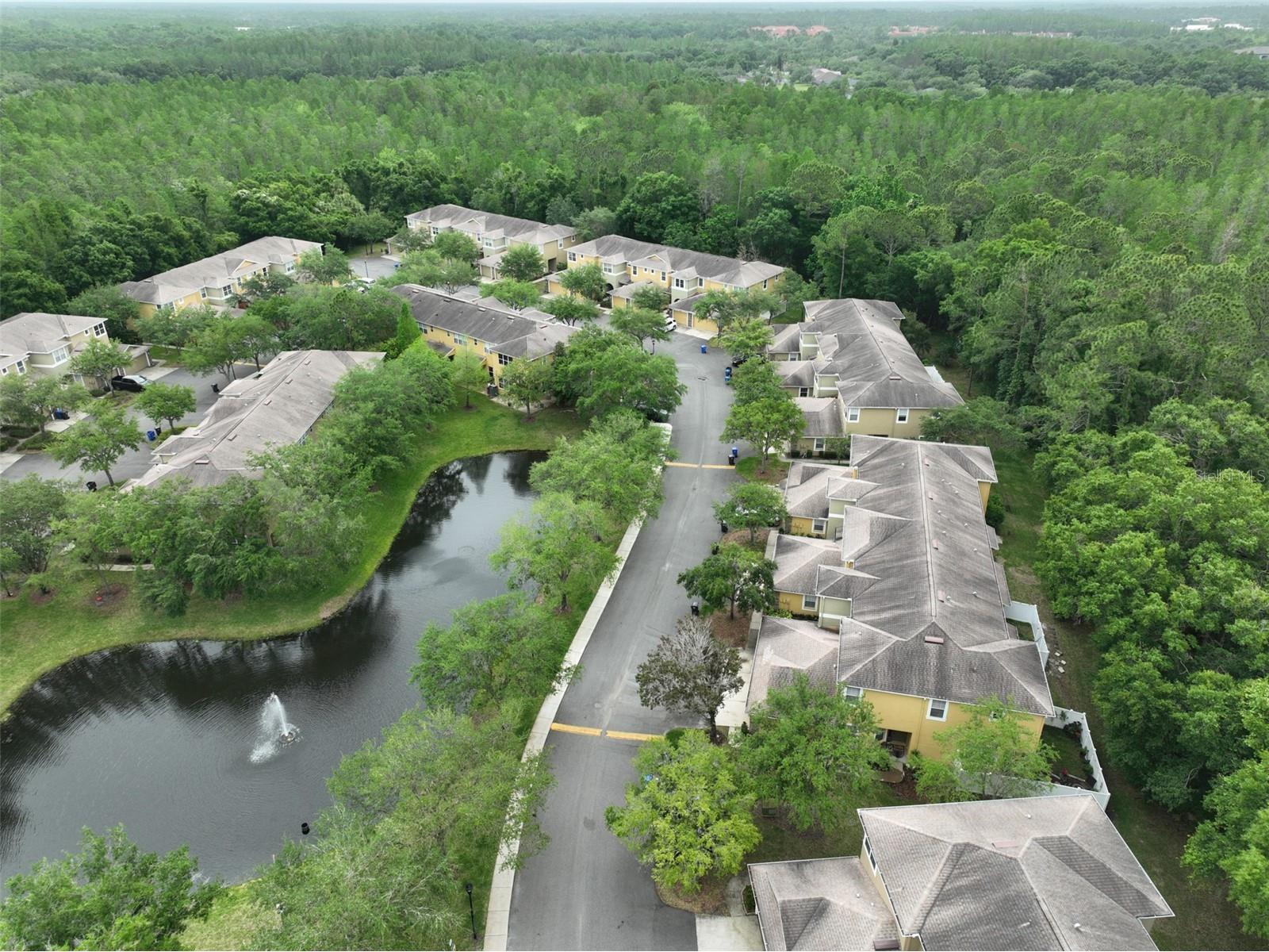 8155 Stone Leaf Lane Tampa FL 33647 TB8510578 image41