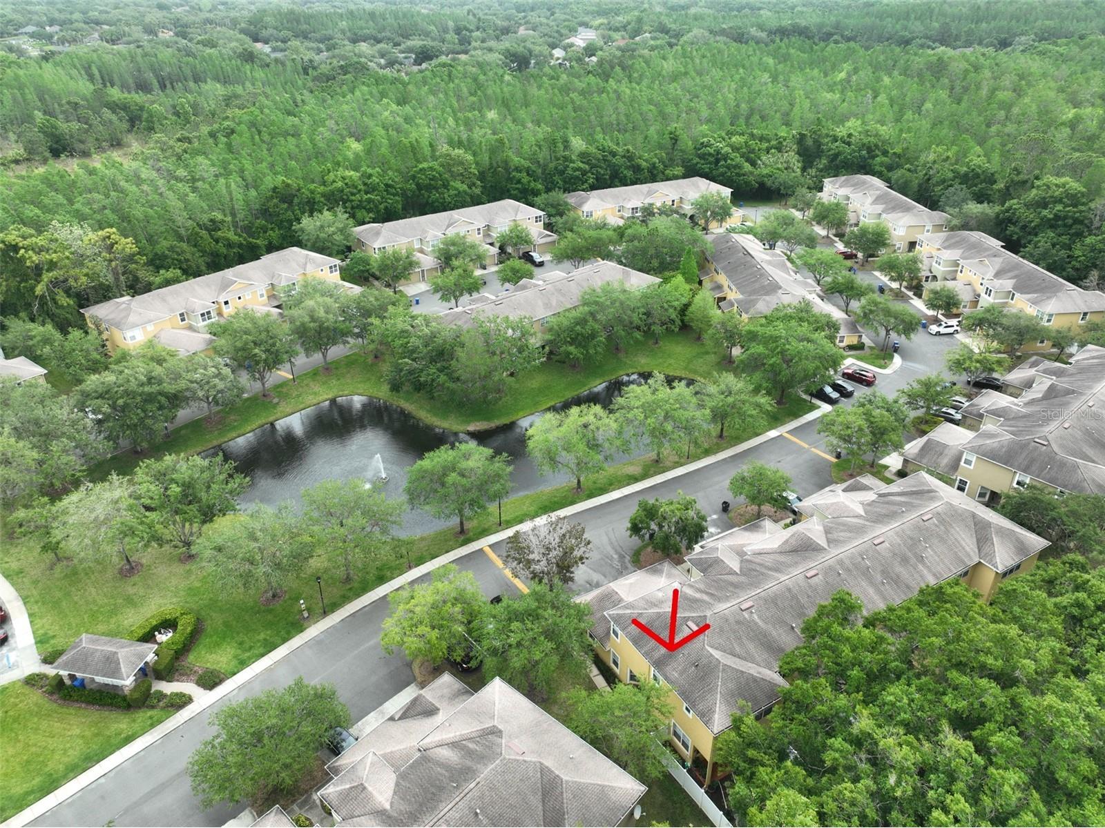 8155 Stone Leaf Lane Tampa FL 33647 TB8510578 image42