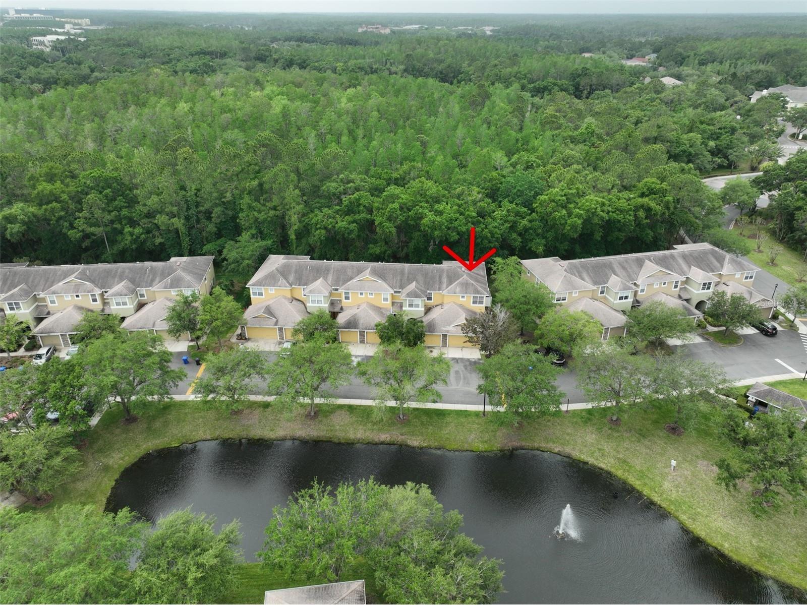 8155 Stone Leaf Lane Tampa FL 33647 TB8510578 image5