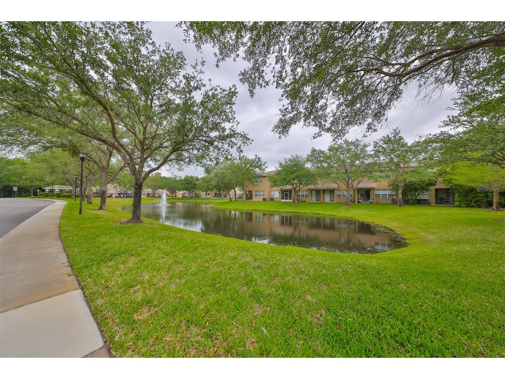 8155 Stone Leaf Lane Tampa FL 33647 TB8510578 image6
