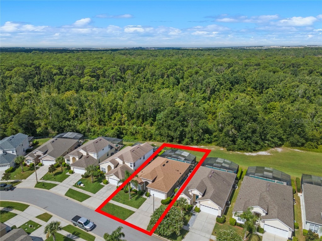 8155 Sun Palm Drive Kissimmee FL 34747 O6140620 image2