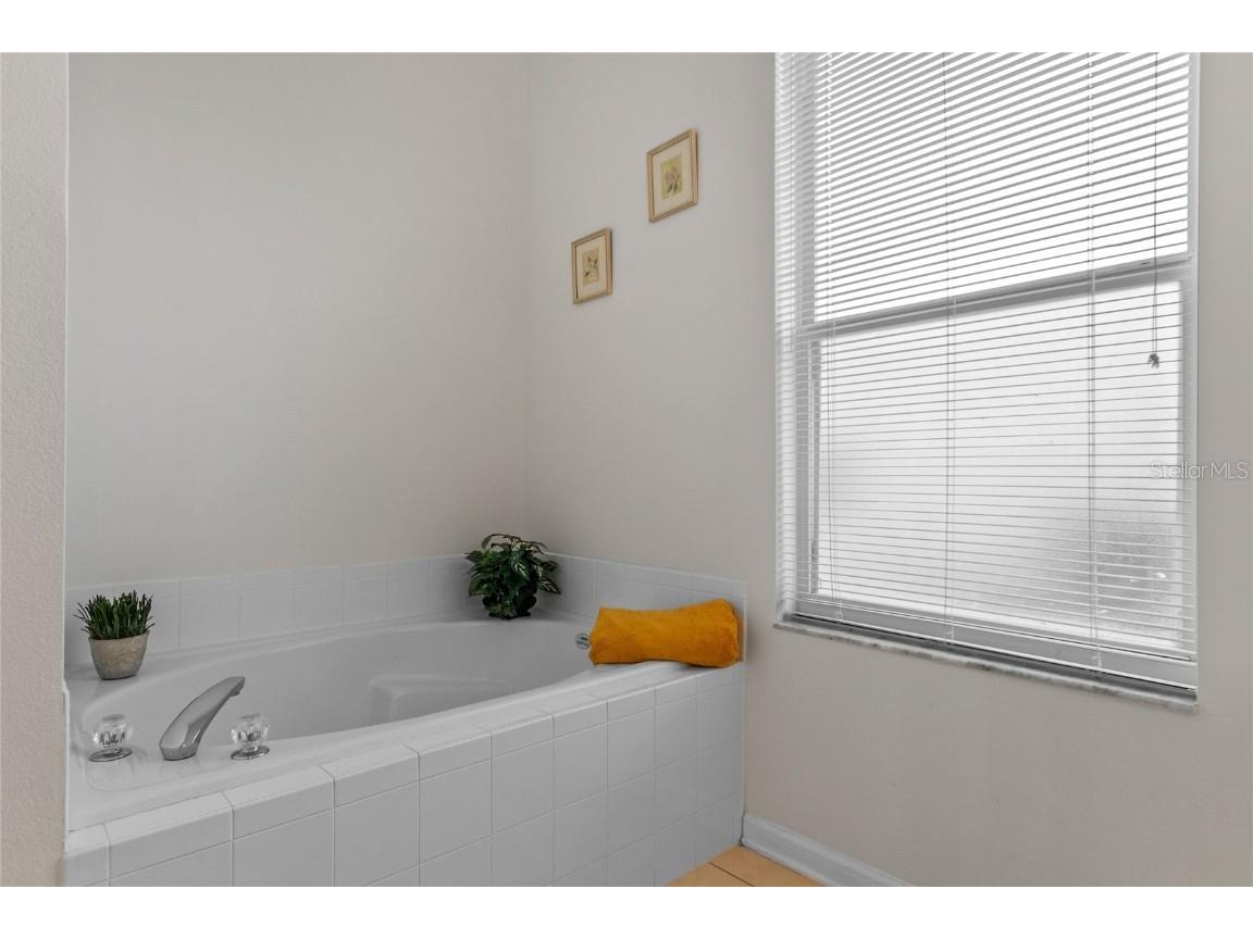 8155 Sun Palm Drive Kissimmee FL 34747 O6140620 image22