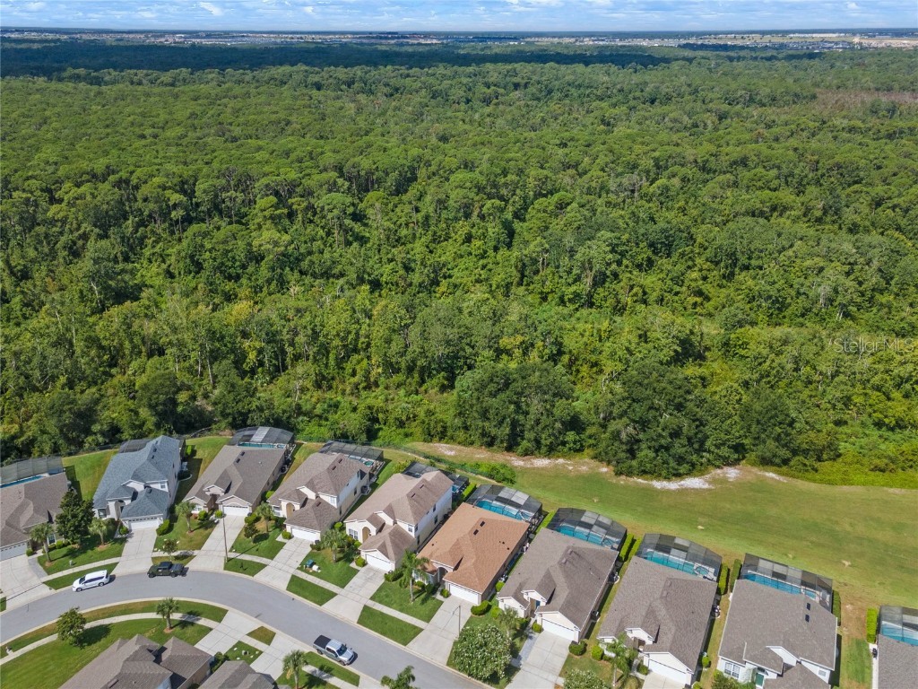 8155 Sun Palm Drive Kissimmee FL 34747 O6140620 image47