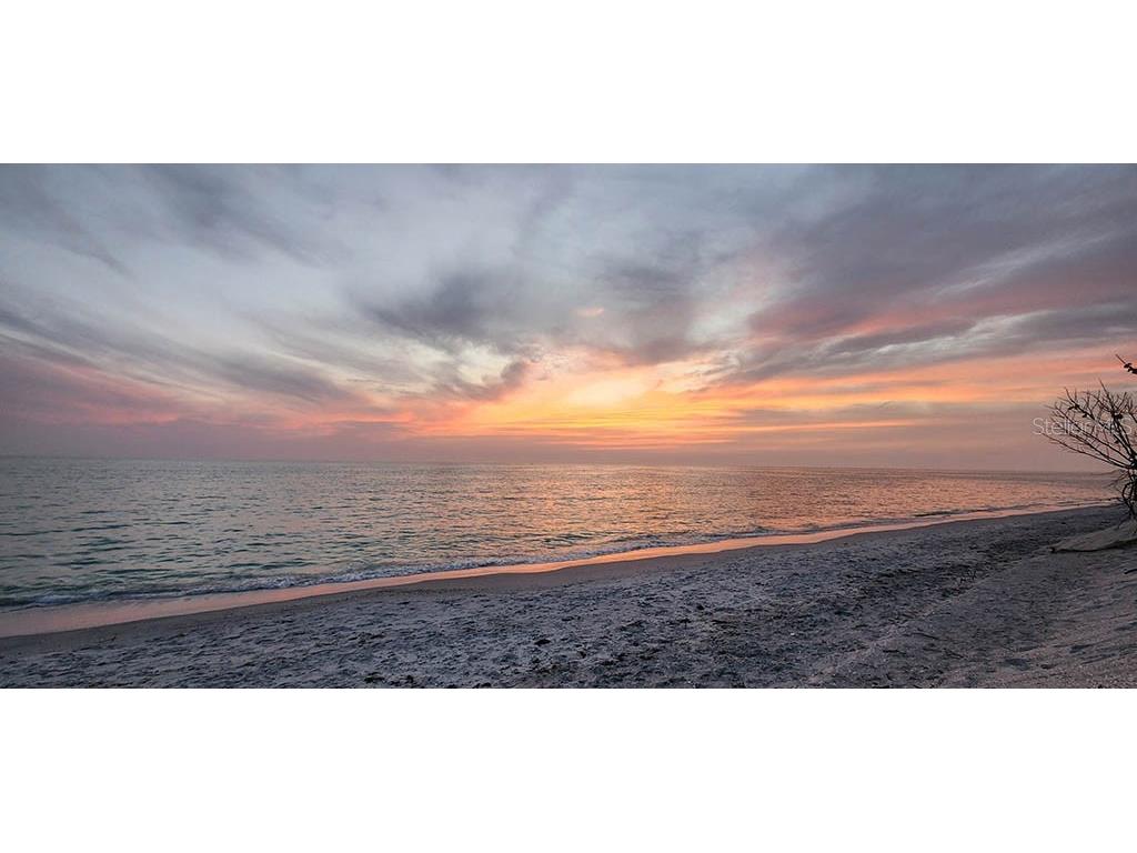 8156 & 8164 Little Gasparilla Island Placida FL 33946 - PLACIDA HARBORGULF OF AMERICA D6142416 image15