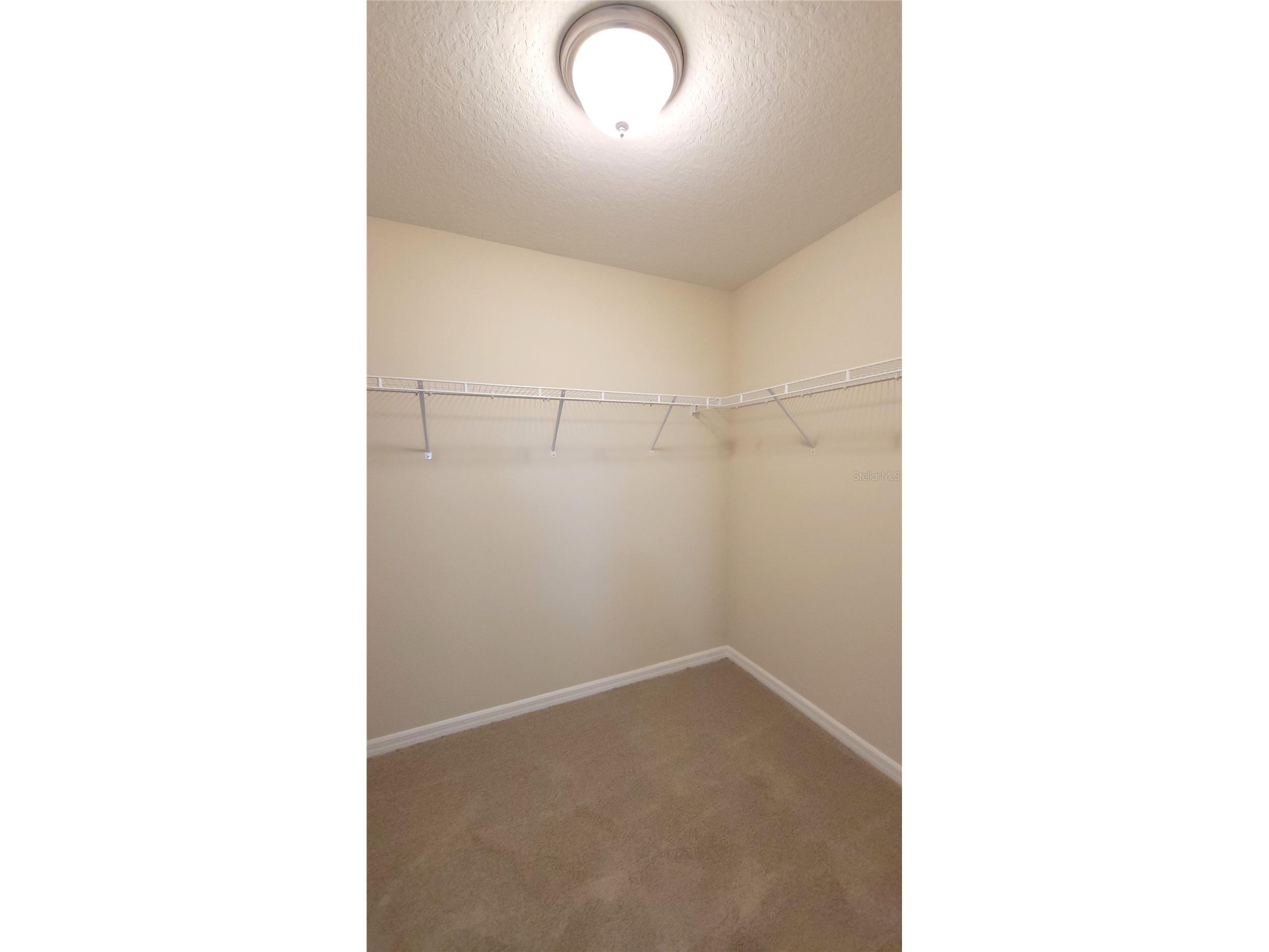 8156 Wood Sage Drive Winter Garden FL 34787 V4947783 image29