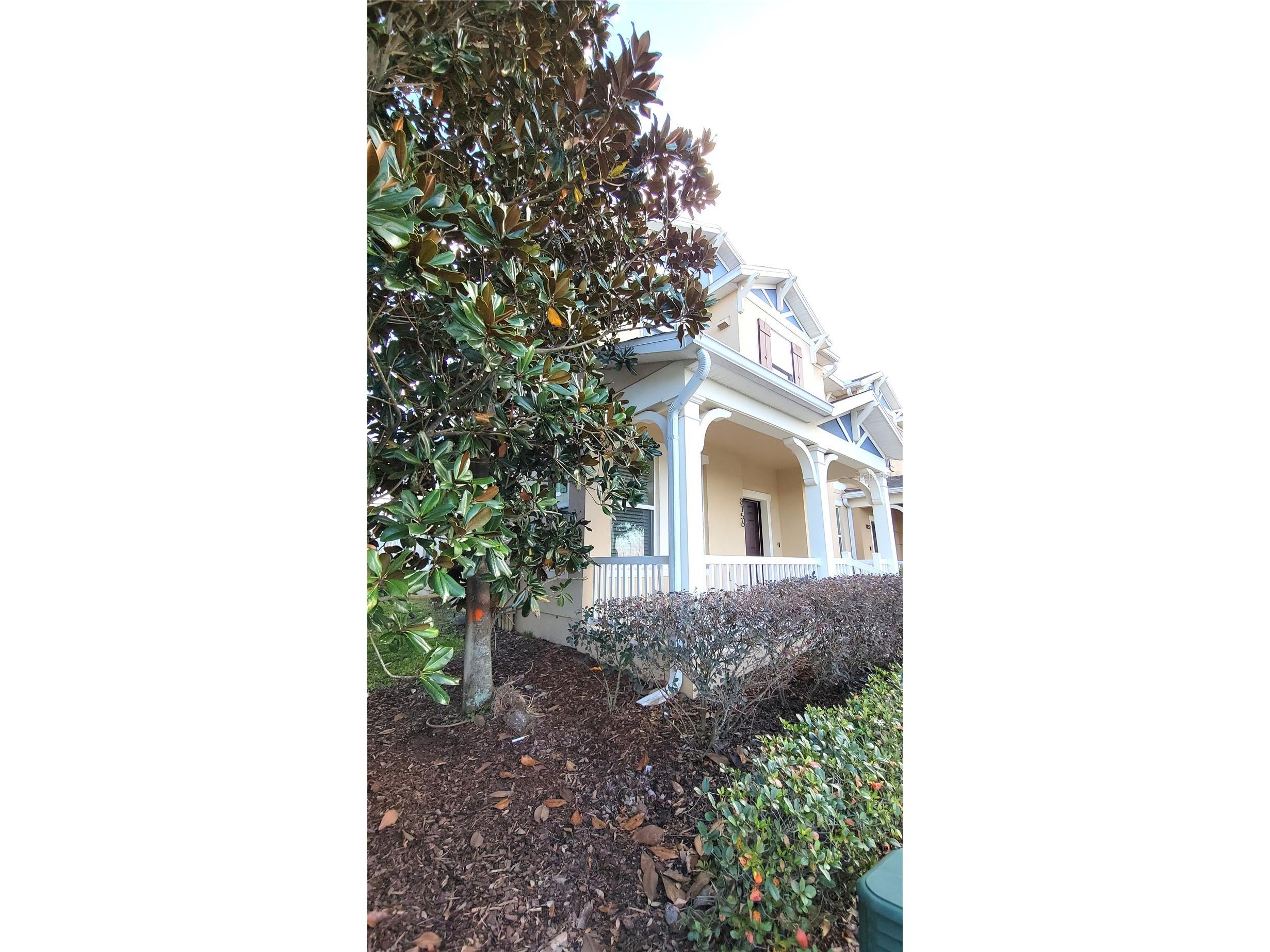 8156 Wood Sage Drive Winter Garden FL 34787 V4947783 image41