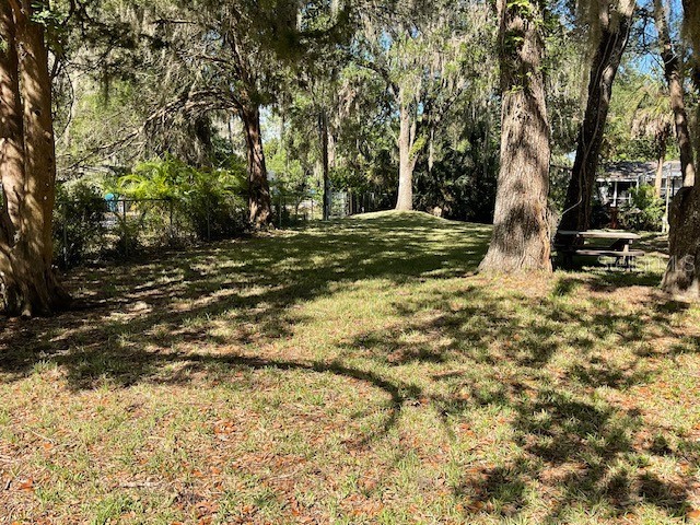 8157 Anchor Point Drive Weeki Wachee FL 34607 TB8386954 image10