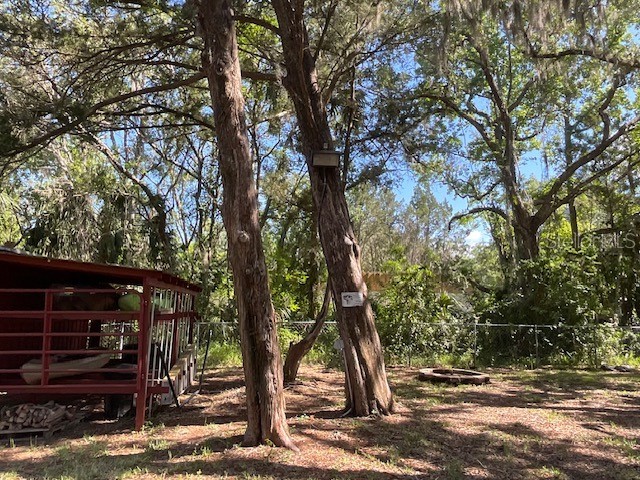 8157 Anchor Point Drive Weeki Wachee FL 34607 TB8386954 image14