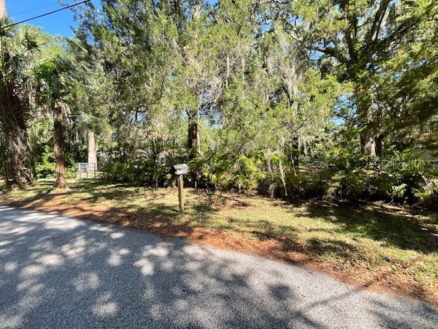 8157 Anchor Point Drive Weeki Wachee FL 34607 TB8386954 image16