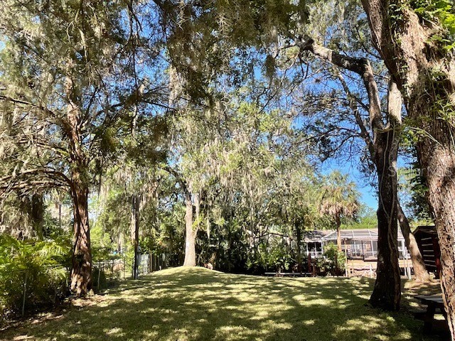 8157 Anchor Point Drive Weeki Wachee FL 34607 TB8386954 image6