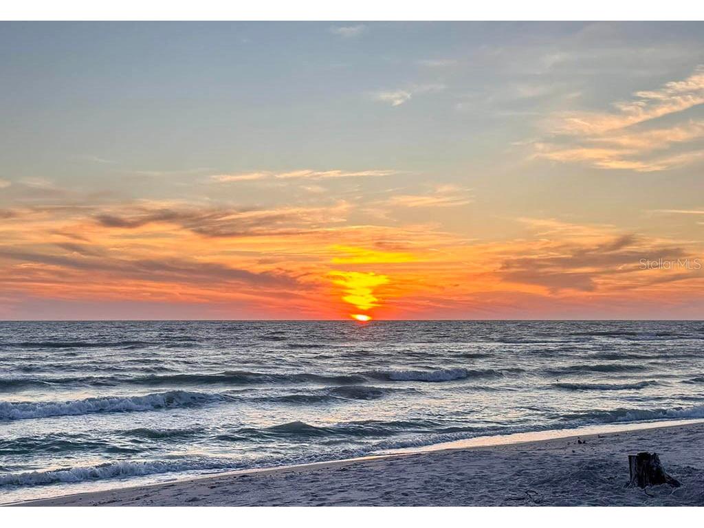 8158 Little Gasparilla Island Placida FL 33946 - PLACIDA HARBORGULF OF AMERICA D6142425 image16