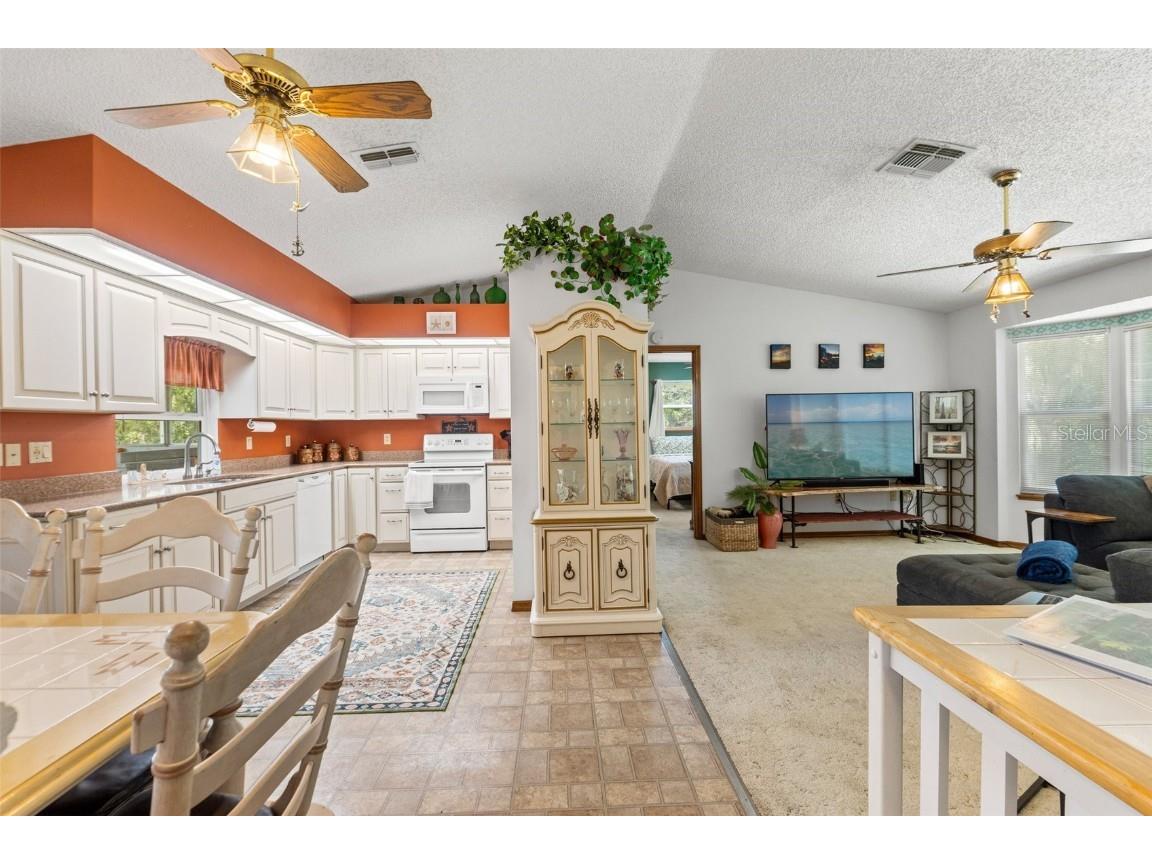 8158 River Point Drive Weeki Wachee FL 34607 W7879239 image23