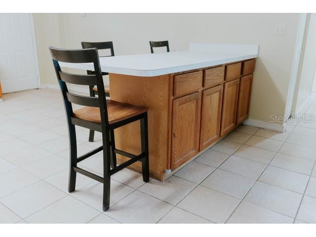 816 Adour Drive Kissimmee FL 34759 O6363917 image8