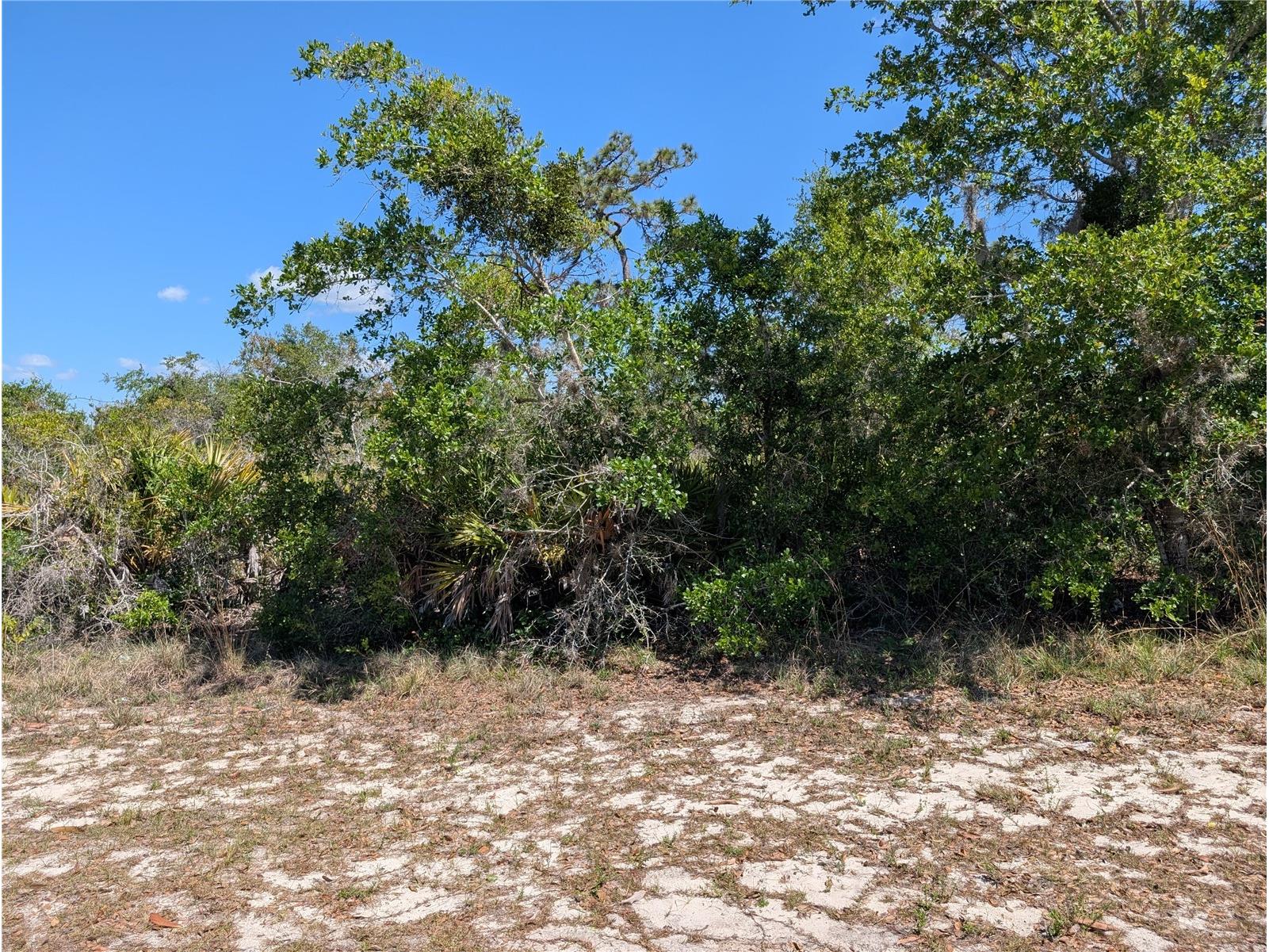 816 Bougainville Drive Indian Lake Estates FL 33855 - LAKE WALK-IN-WATER P4938510 image1