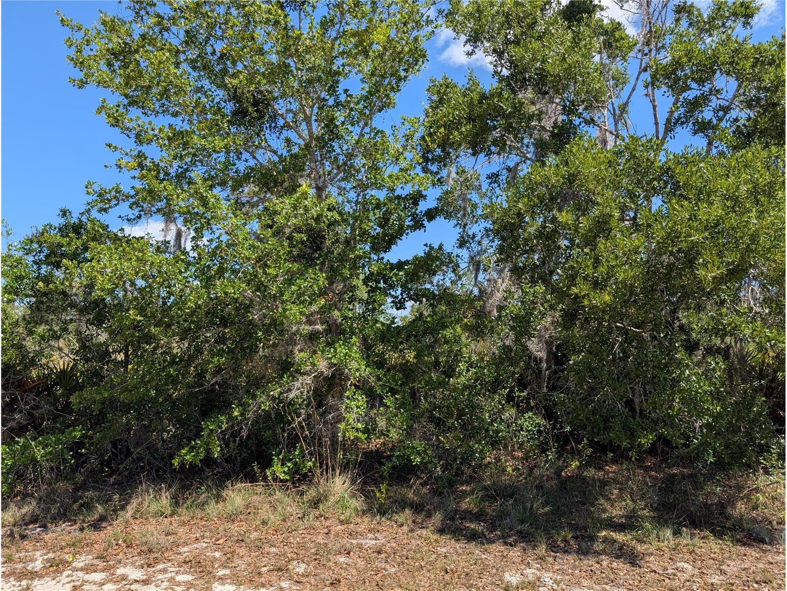 816 Bougainville Drive Indian Lake Estates FL 33855 - LAKE WALK-IN-WATER P4938510 image3