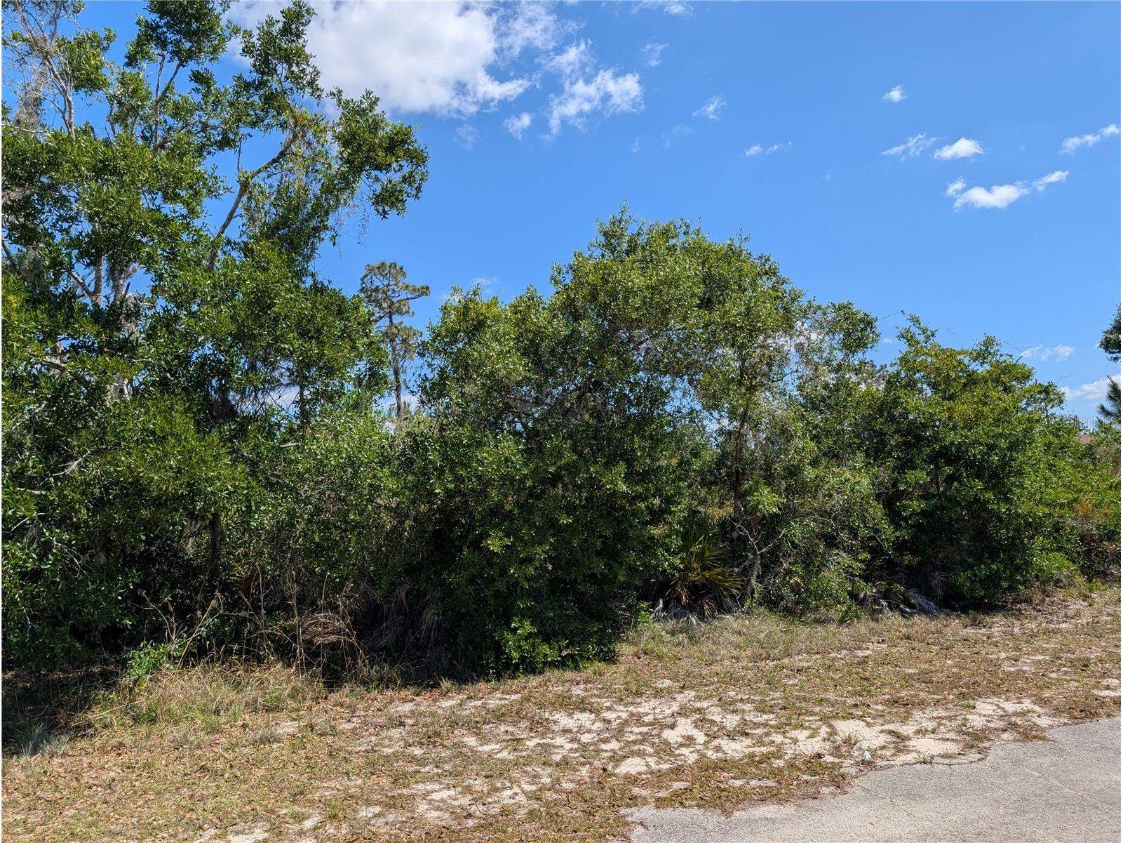 816 Bougainville Drive Indian Lake Estates FL 33855 - LAKE WALK-IN-WATER P4938510 image6