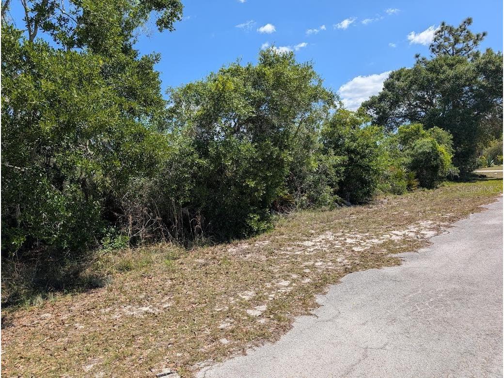 816 Bougainville Drive Indian Lake Estates FL 33855 - LAKE WALK-IN-WATER P4938510 image7