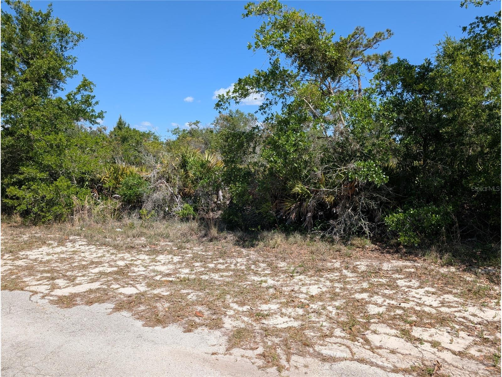 816 Bougainville Drive Indian Lake Estates FL 33855 - LAKE WALK-IN-WATER P4938510 image8