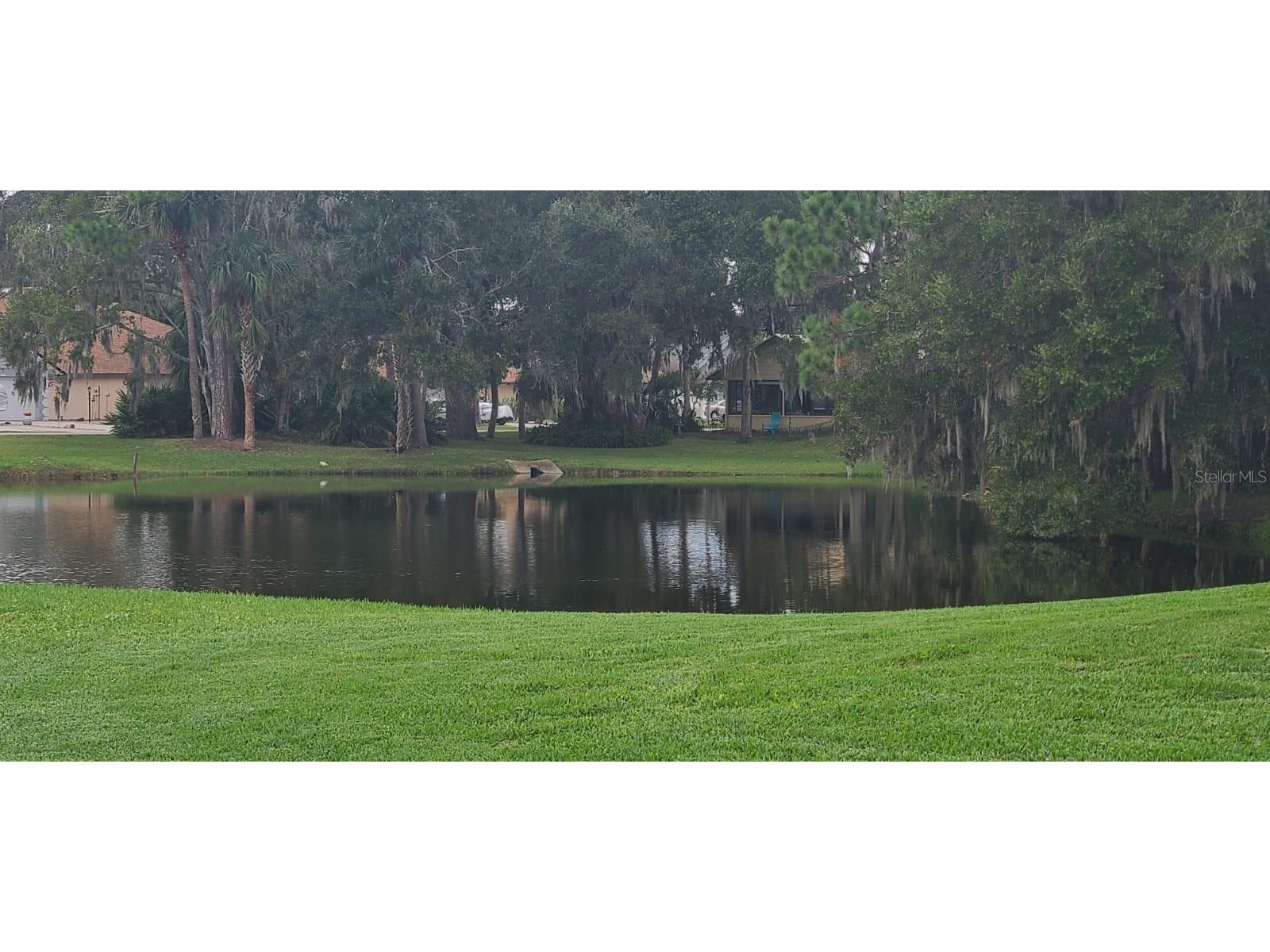 816 Brimfield Court Port Orange FL 32127 O6365699 image45