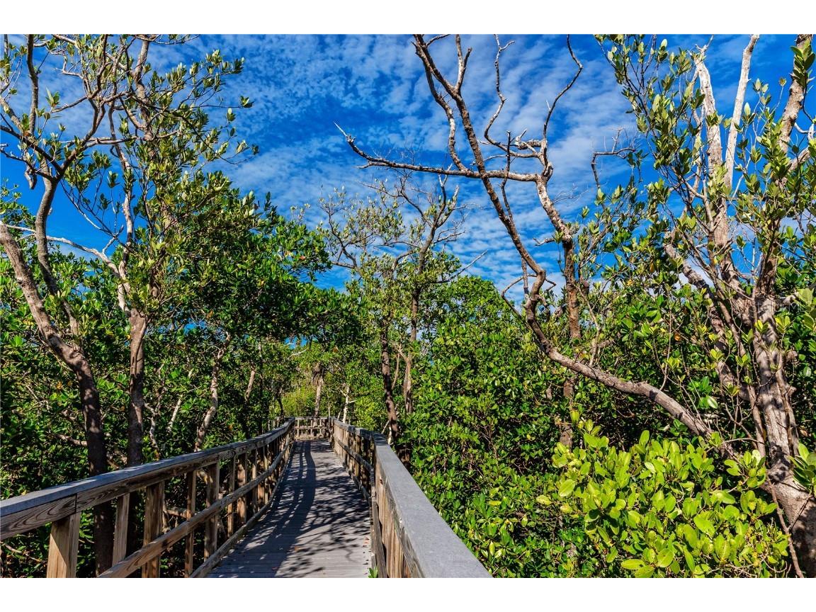 816 Hidden Harbour Drive Indian Rocks Beach FL 33785 TB8430191 image51