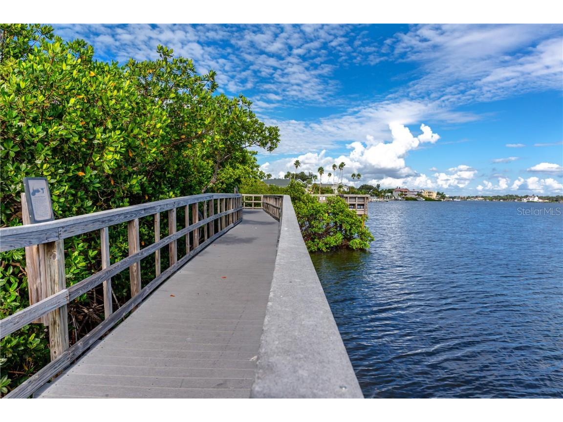 816 Hidden Harbour Drive Indian Rocks Beach FL 33785 TB8430191 image54