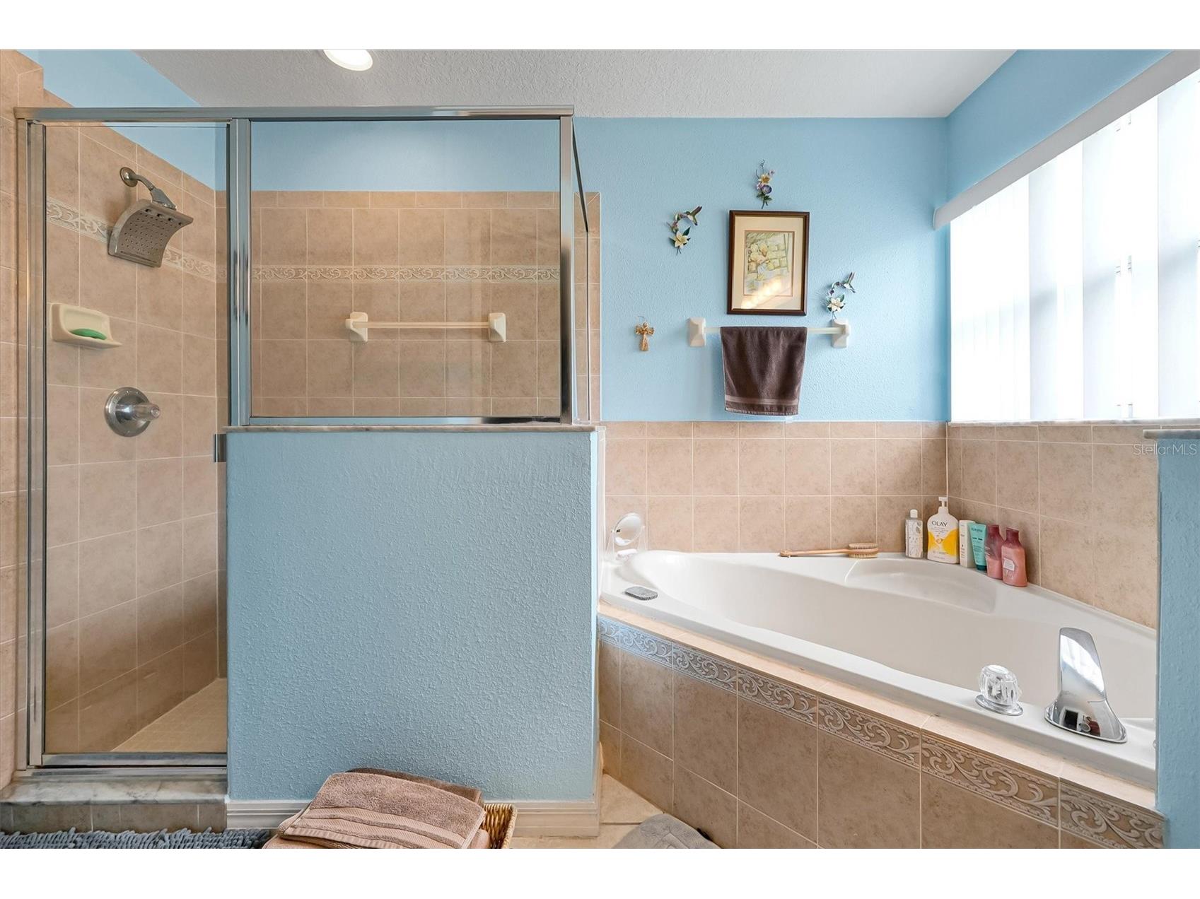 816 Knightsbridge Circle Davenport FL 33896 S5151442 image28