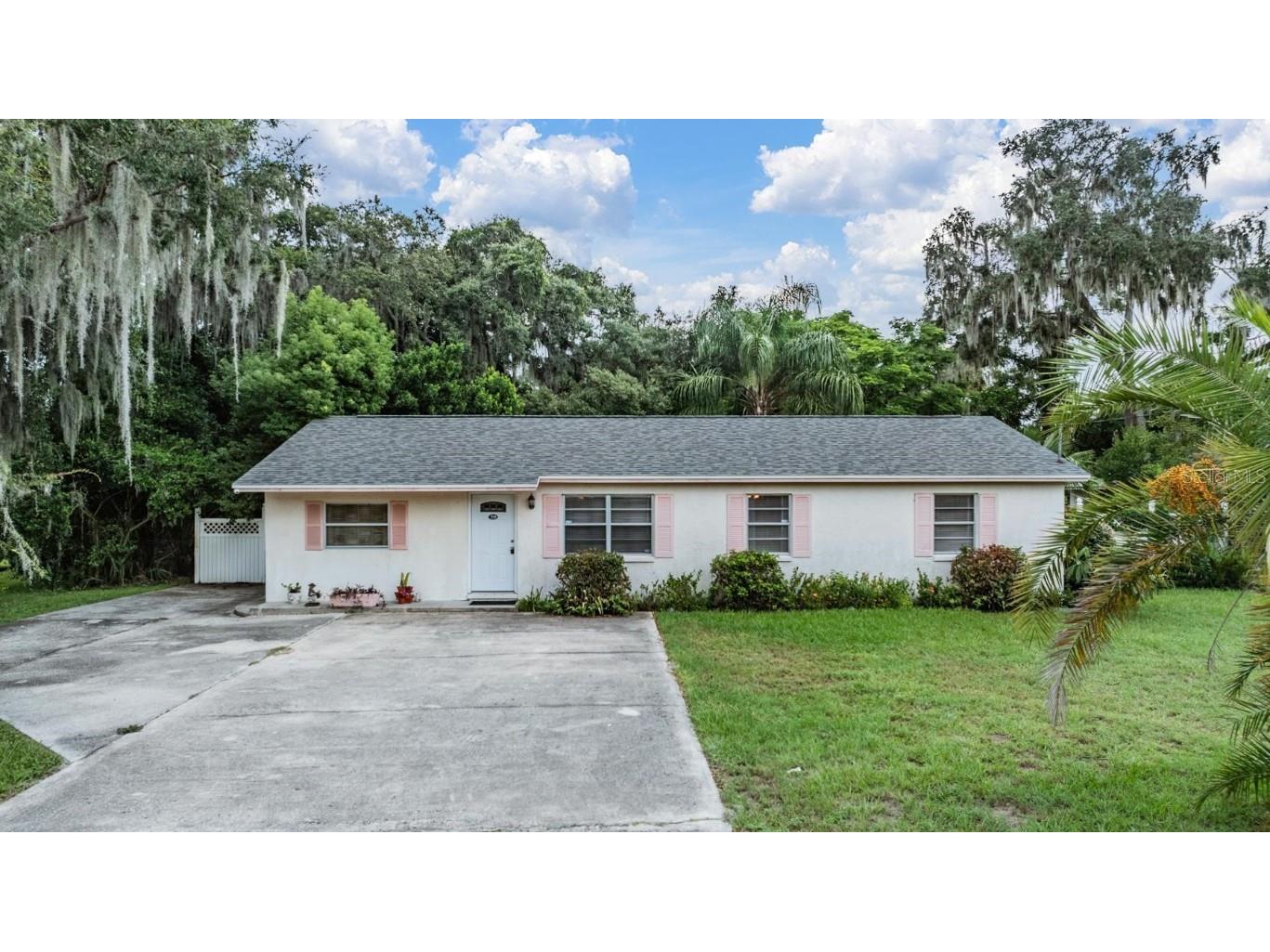 816 Louise Street Brandon FL 33511 T3549620 image1