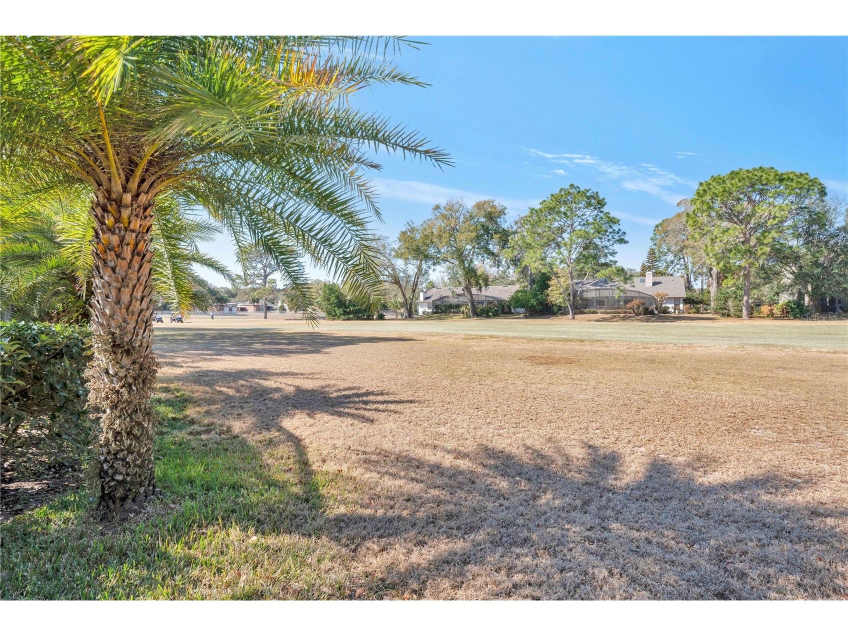 816 Mystic Oak Place Apopka FL 32712 O6380641 image40