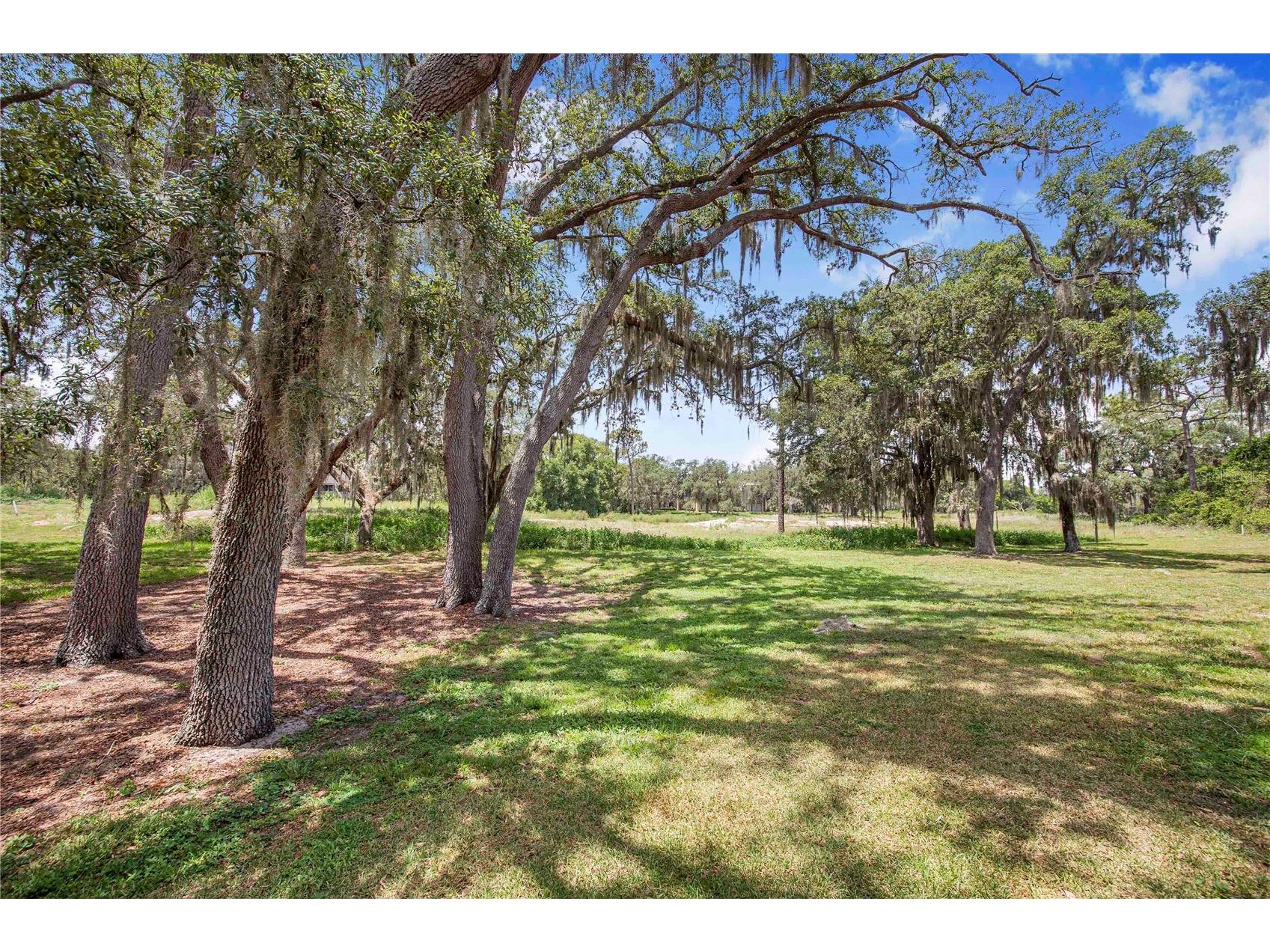 816 Pinewood Court #3126 Haines City FL 33844 P4939164 image22