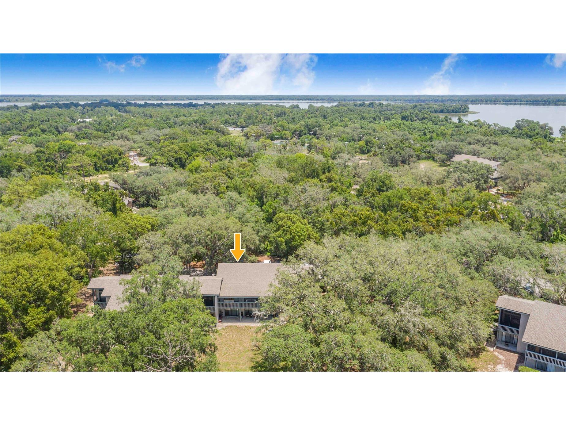 816 Pinewood Court #3126 Haines City FL 33844 P4939164 image25