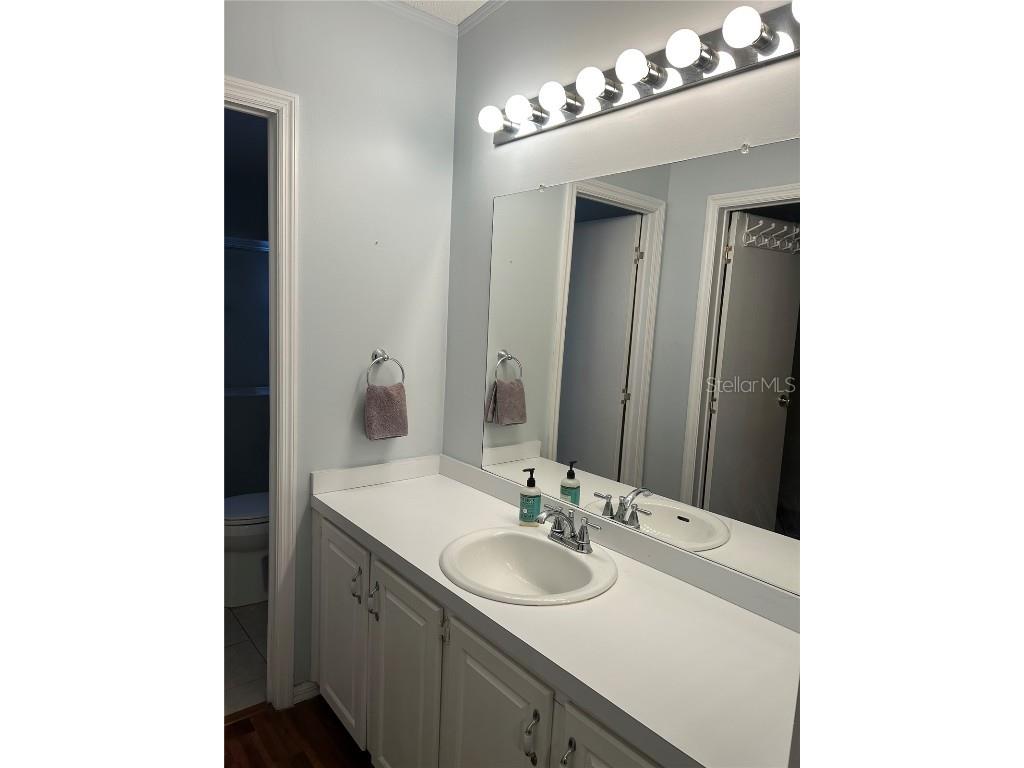 816 Polo Park East Boulevard Davenport FL 33897 - LAKE DAVENPORT O6309086 image17