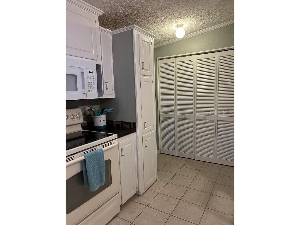 816 Polo Park East Boulevard Davenport FL 33897 - LAKE DAVENPORT O6309086 image9