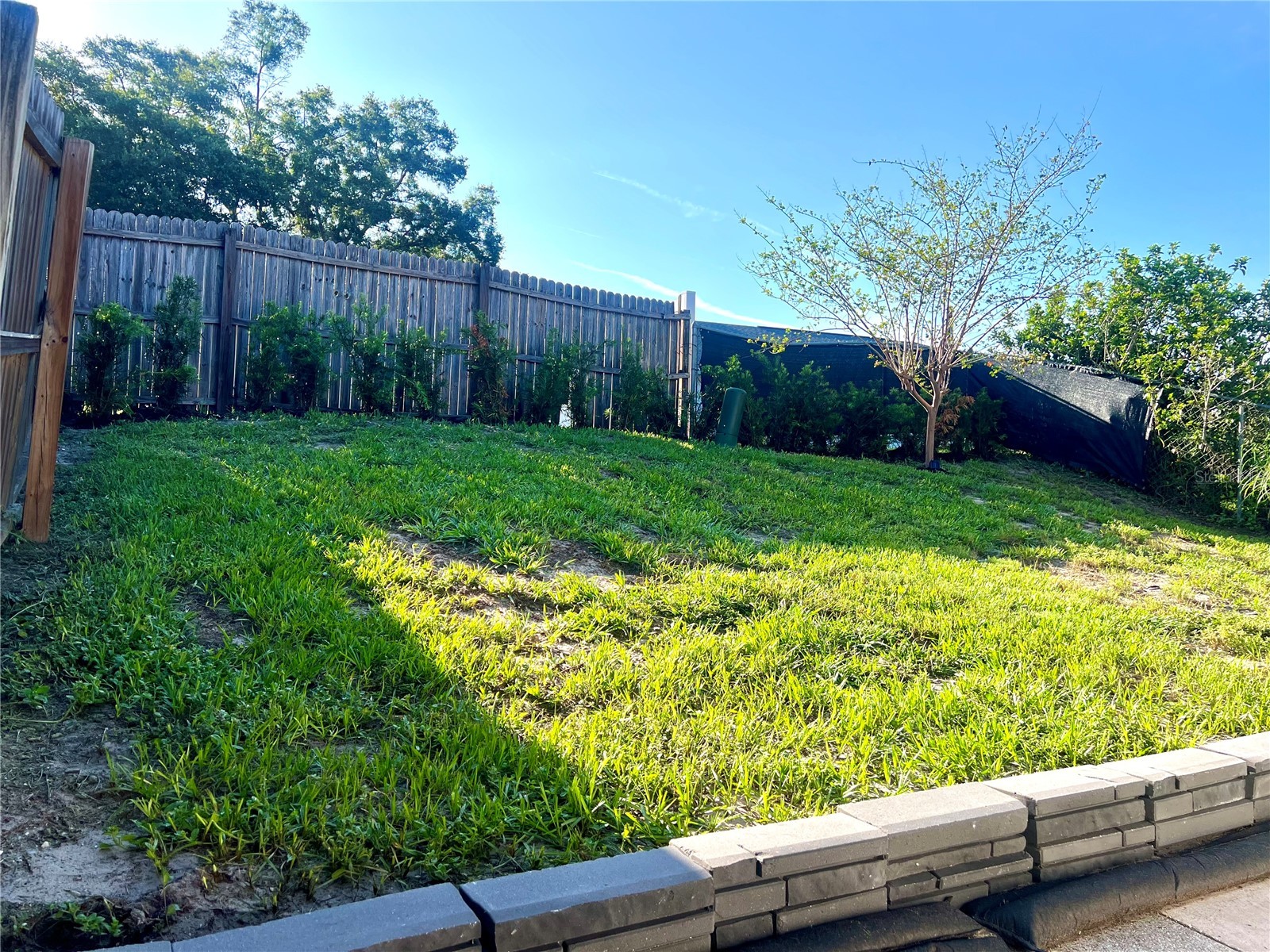 816 Sleepy Harbour Drive Ocoee FL 34761 O6421818 image17
