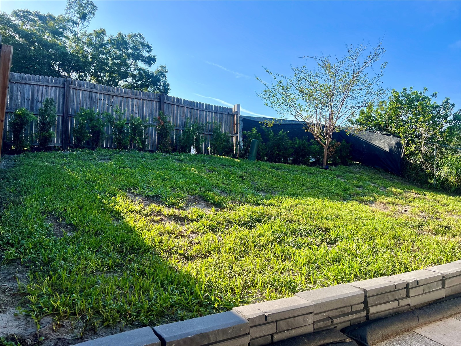 816 Sleepy Harbour Drive Ocoee FL 34761 O6421818 image18