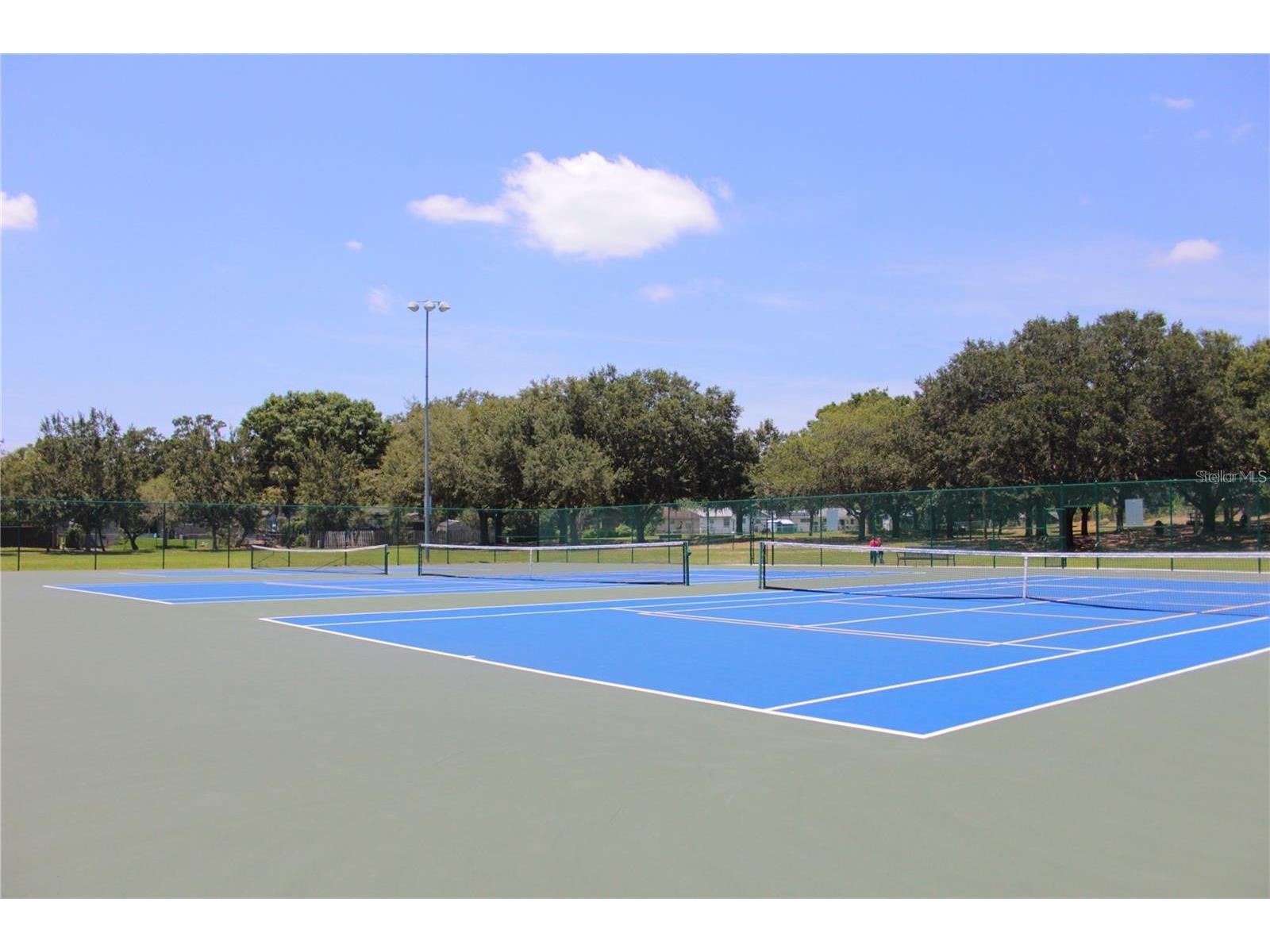 816 Sleepy Harbour Drive Ocoee FL 34761 O6421818 image19