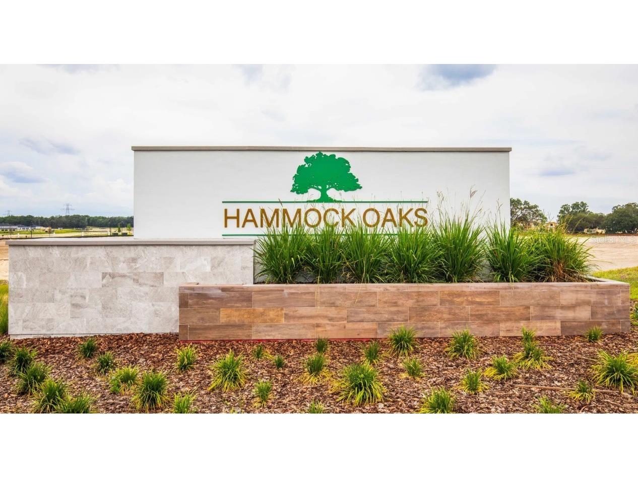 816 Sunshower Drive Lady Lake FL 32159 O6357571 image17