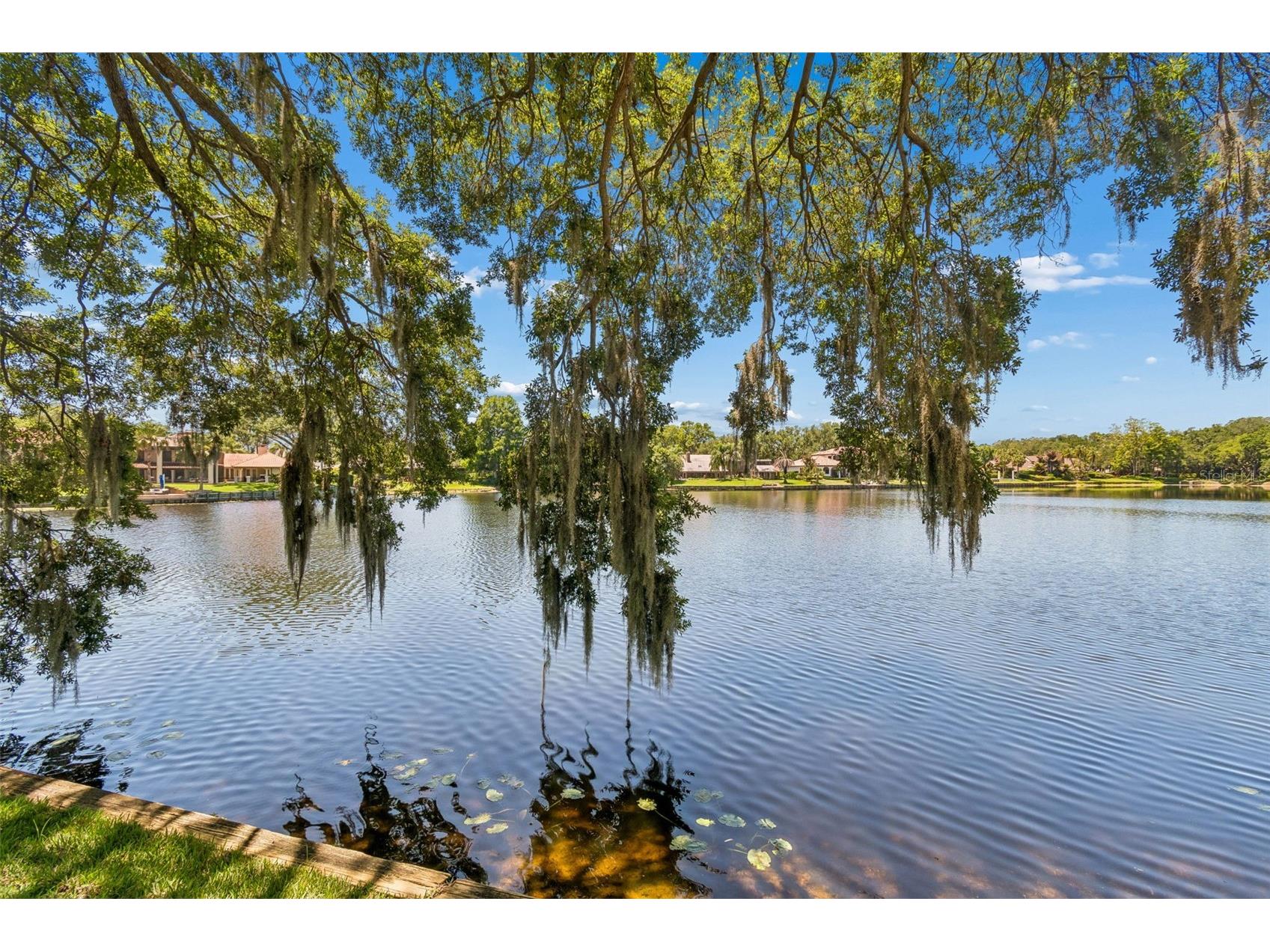 816 Taray De Avila Tampa FL 33613 - LAKE TARAY TB8508267 image52