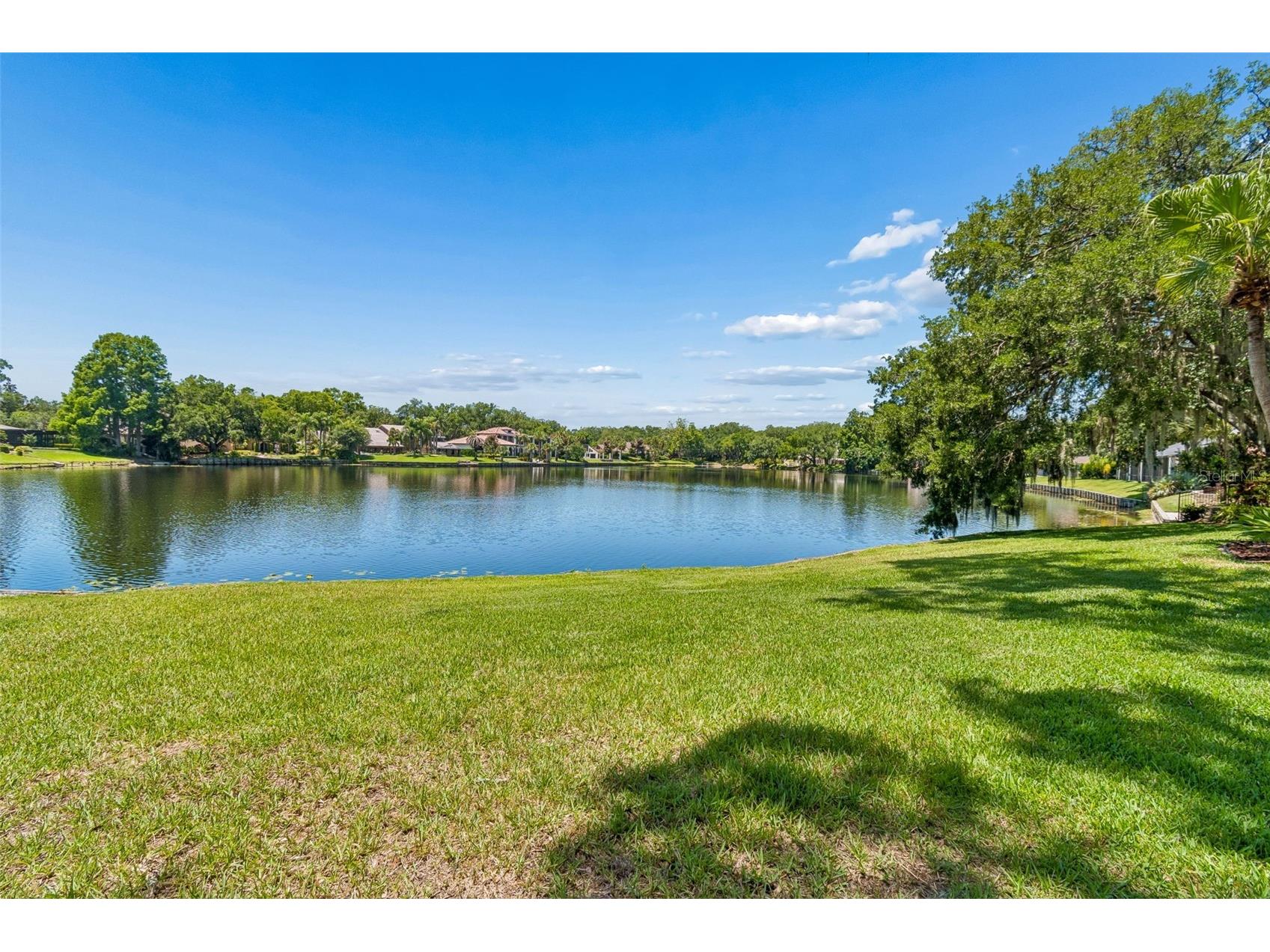 816 Taray De Avila Tampa FL 33613 - LAKE TARAY TB8508267 image53