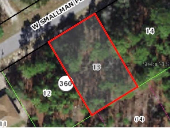 816 W Smallman Place Citrus Springs FL 34434 A4578405 image1