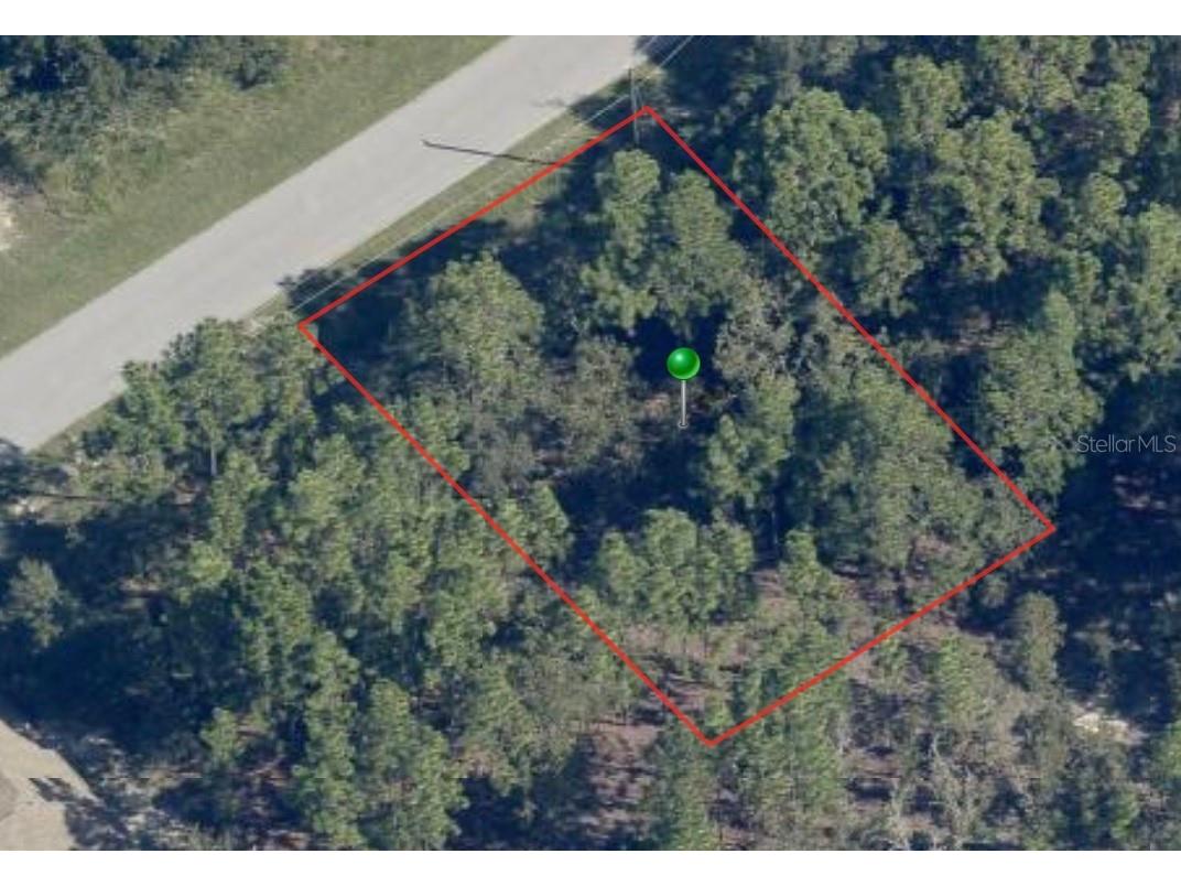 816 W Smallman Place Citrus Springs FL 34434 A4578405 image2