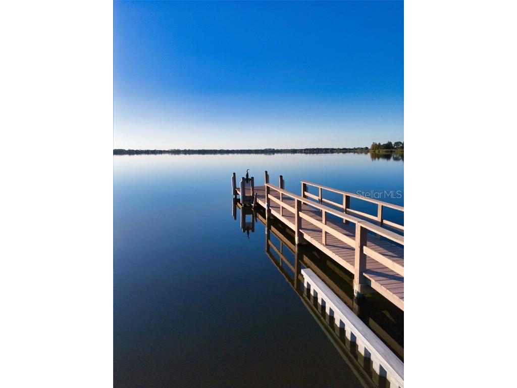 816 Waterfern Trail Drive Auburndale FL 33823 P4937271 image11