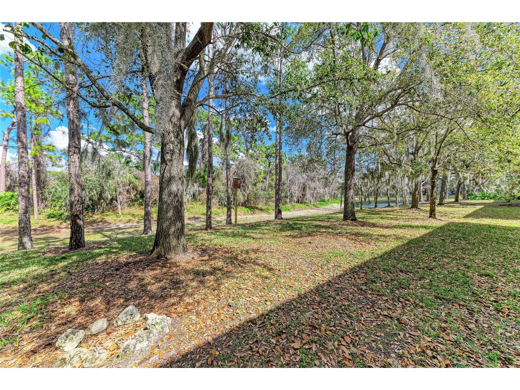 8160 Villa Grande Ct Sarasota FL 34243 A4685128 image39