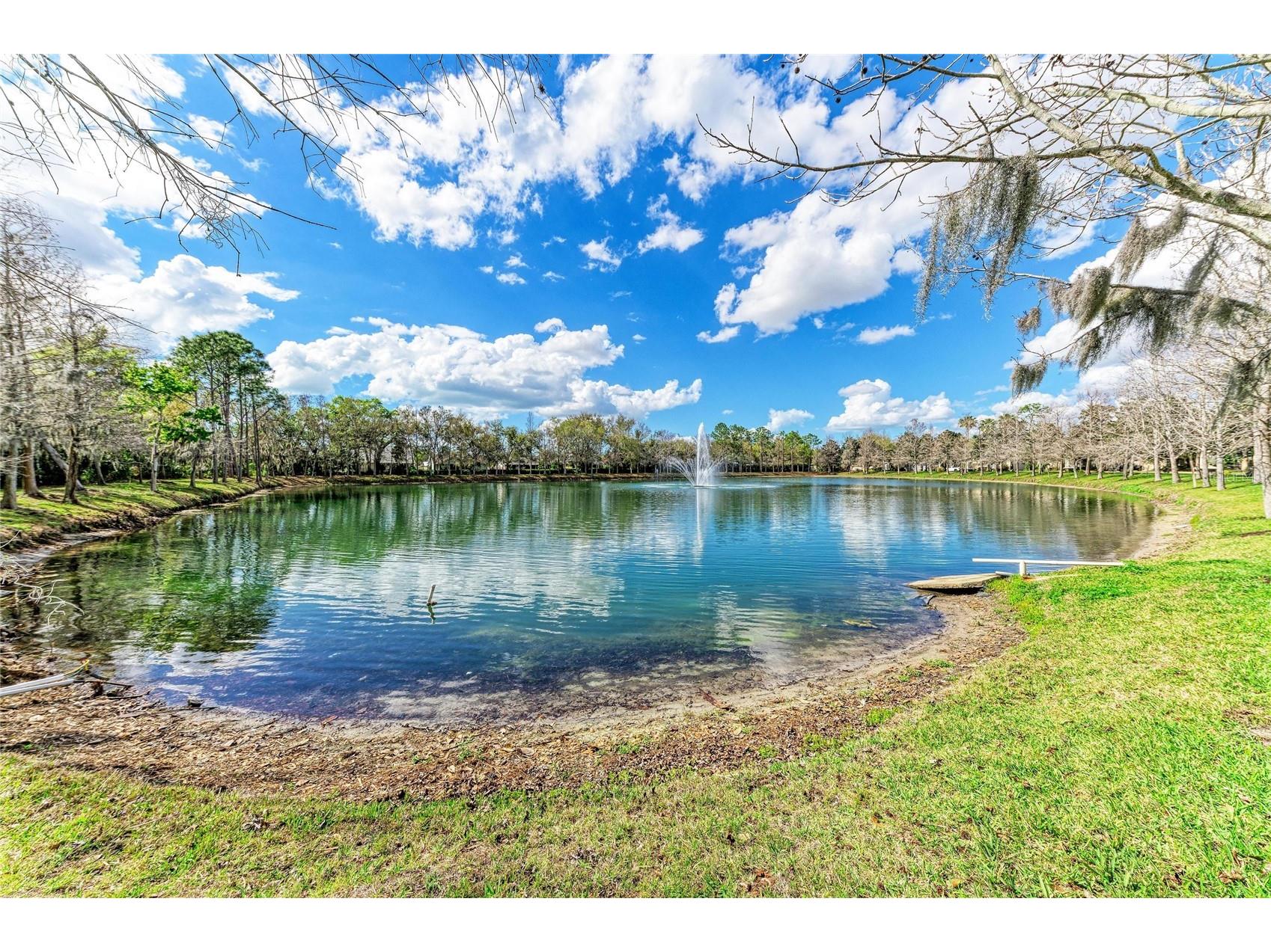 8160 Villa Grande Ct Sarasota FL 34243 A4685128 image47