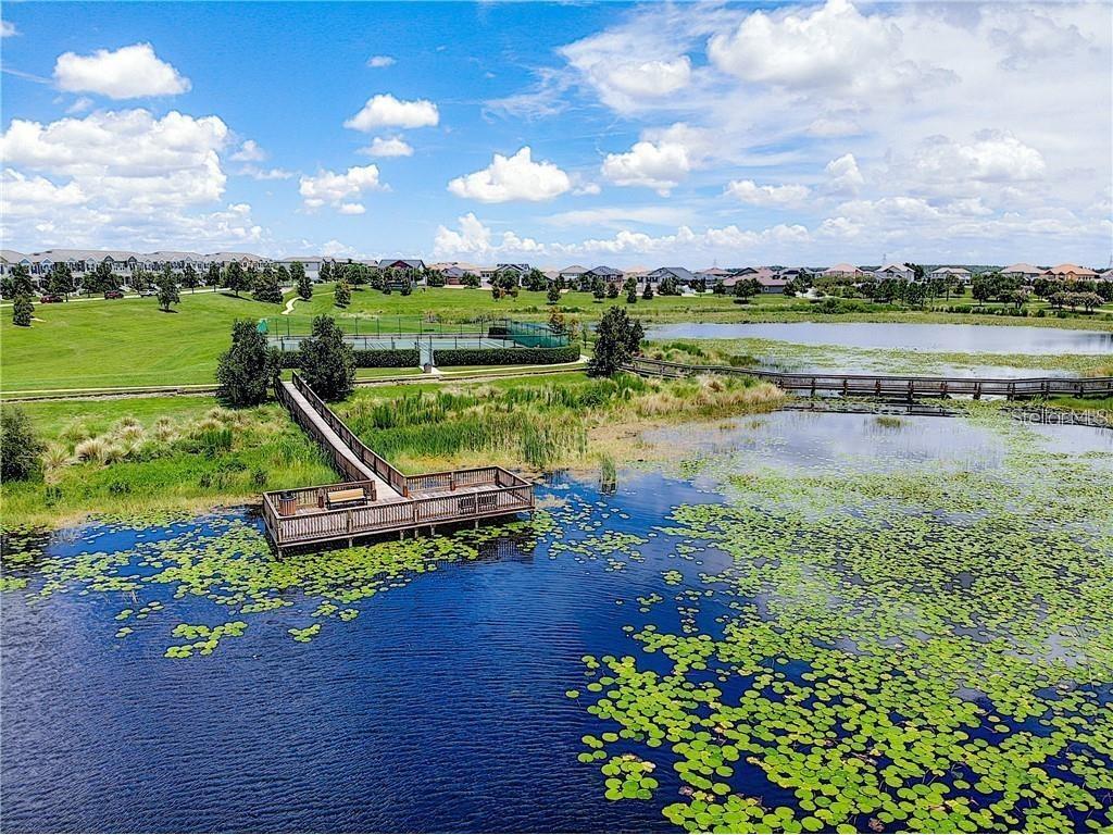 8160 Wood Sage Drive Winter Garden FL 34787 S5149760 image47